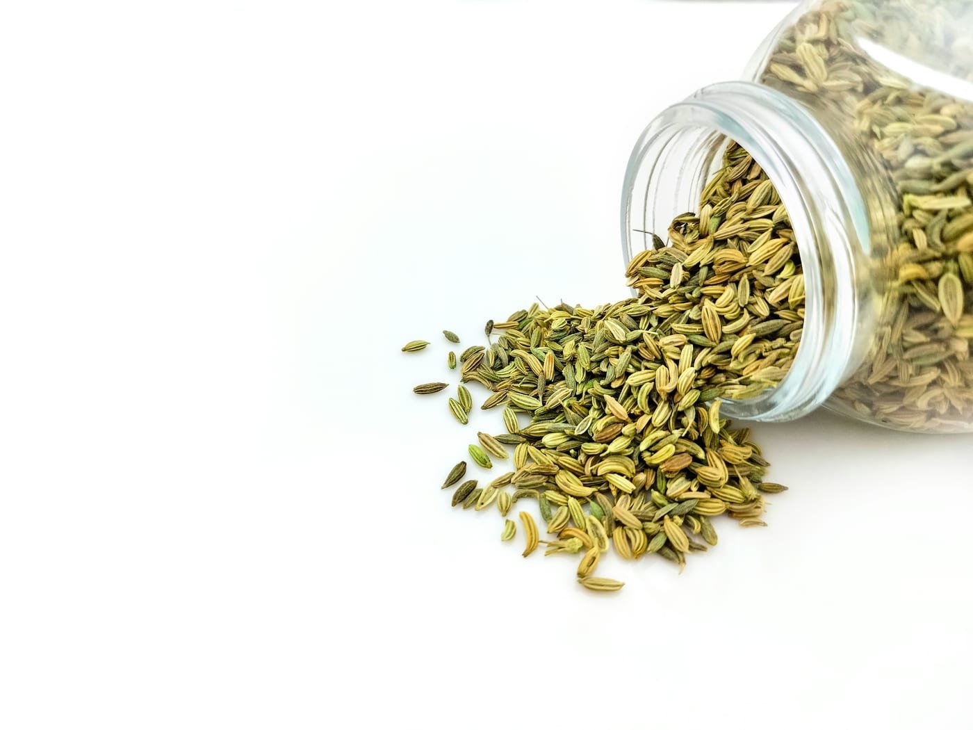 Seeds
